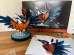 Lego kingfisher icons 10331, Ophalen of Verzenden, Zo goed als nieuw