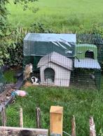 Omlet zippi ren met verdieping en schuilhok, Meerdere dieren, Groot, 3 tot 5 jaar