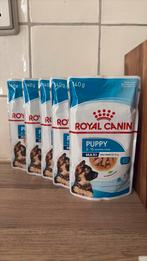 Royal canin puppy gravy 5 zakjes, Dieren en Toebehoren, Dierenvoeding, Ophalen, Hond