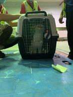 Bench   Transportbox, Ophalen, Zo goed als nieuw