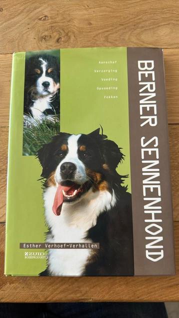 E. Verhoef-Verhallen - Berner Sennenhond beschikbaar voor biedingen