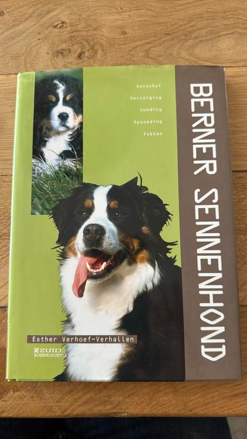 E. Verhoef-Verhallen - Berner Sennenhond, Boeken, Dieren en Huisdieren, Zo goed als nieuw, Honden, Ophalen of Verzenden