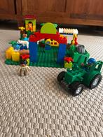 Duplo Dierentuin met Grondplaat, Ophalen of Verzenden, Gebruikt, Complete set, Duplo