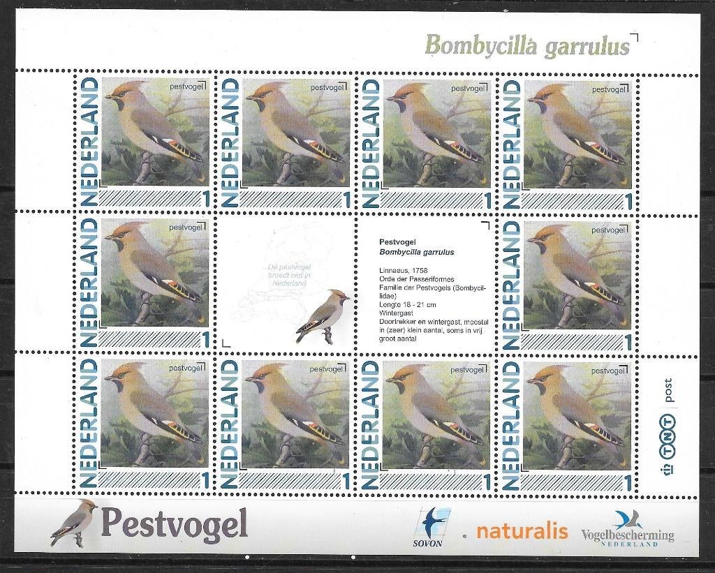 Persoonlijk vel 63 postfris, Postzegels en Munten, Postzegels | Nederland, Ophalen of Verzenden