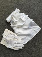 Roekl handschoenen, plastron en haarnetje, Dieren en Toebehoren, Paardrijkleding, Ophalen of Verzenden, Zo goed als nieuw, Overige typen