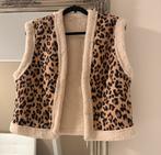 Panter gilet met teddy, Ophalen of Verzenden, Zo goed als nieuw, Maat 38/40 (M), Bruin