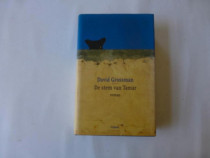 David Grossman, De stem van Tamar, Boeken, Literatuur, Zo goed als nieuw, Nederland, Ophalen of Verzenden