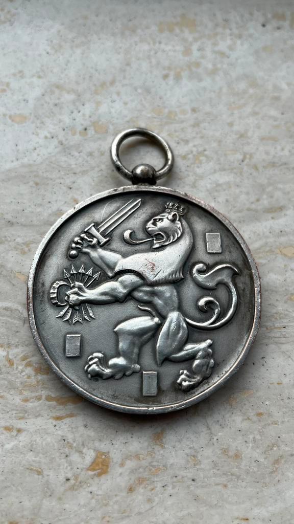 Grote medaille Groepsprijs NJV MARSCH DEN HAAG 1939 50 mm, Postzegels en Munten, Penningen en Medailles, Overige materialen, Ophalen of Verzenden