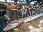 zweedse voerhekken en zwevende ligboxen, Ophalen, Veehouderij, Stalinrichting