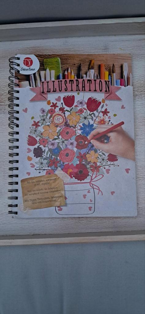 Illustratie Boek, Hobby en Vrije tijd, Tekenen, Zo goed als nieuw, Boek of Gids, Ophalen of Verzenden