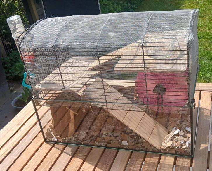 Knaagdieren hok Ferplast Gabry 50, Dieren en Toebehoren, Knaagdieren en Konijnen | Hokken en Kooien, Gebruikt, Kooi, Minder dan 60 cm