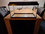 aquarium 60 x 30 met kap en  verlichting, Dieren en Toebehoren, Vissen | Aquaria en Toebehoren, Ophalen, Zo goed als nieuw, Leeg aquarium