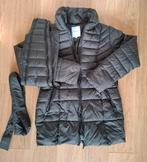 Zwangerschapsjas, Ophalen of Verzenden, Zo goed als nieuw, Zwangerschap en Bevalling