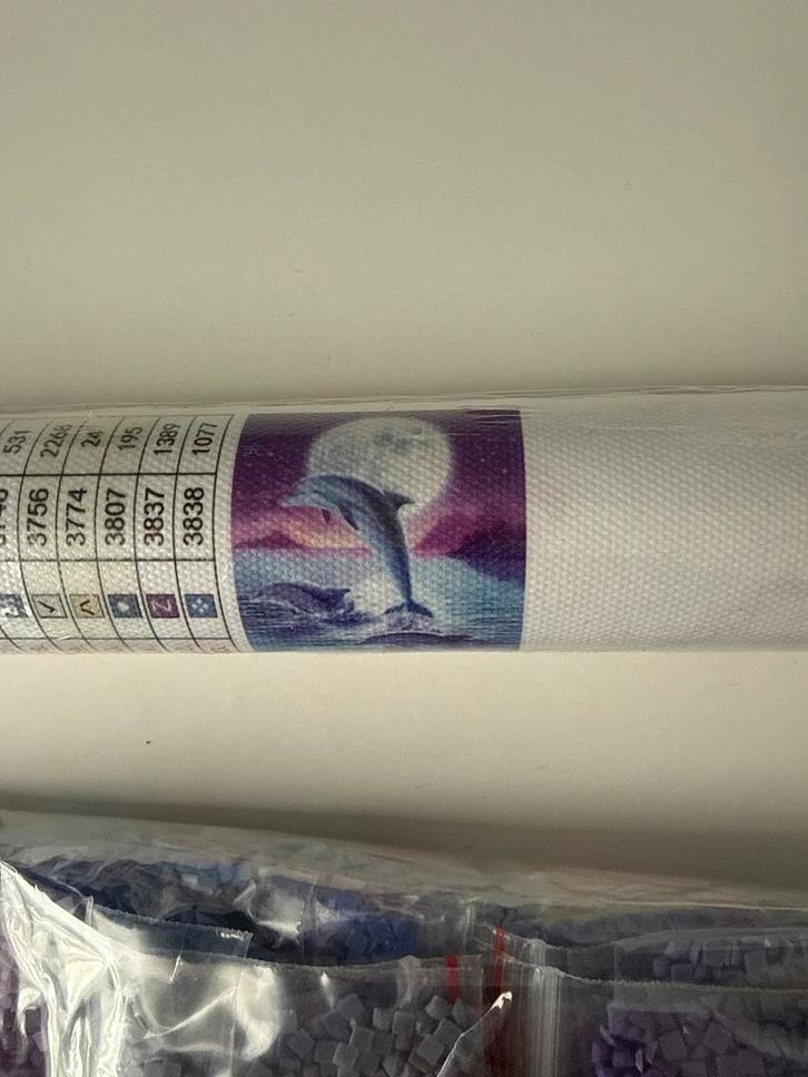 Diamond Painting Dolfijn - Nieuw, Hobby en Vrije tijd, Knutselen, Nieuw, Knutselwerk, Ophalen