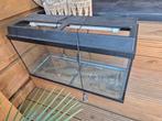 Terrarium, Dieren en Toebehoren, Reptielen en Amfibieën | Toebehoren, Ophalen, Gebruikt, Terrarium of Paludarium