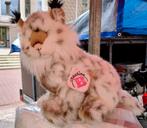 lynx uit dierentuin Innsbruck, Ophalen of Verzenden, Overige typen