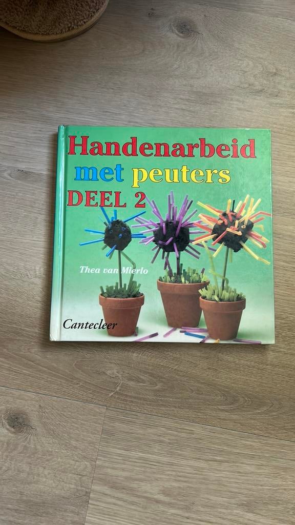 Thea van Mierlo - 2, Boeken, Ophalen of Verzenden, Zo goed als nieuw, Thea van Mierlo