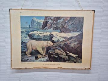 Vintage schoolplaat M.A Koekkoek Te midden van sneeuw en ijs beschikbaar voor biedingen