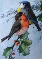 (3) - C.KLEIN - roodborst en pimpelmees  - hulst met bessen, Verzamelen, Verzenden, 1920 tot 1940, Gelopen, Natuur