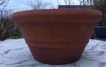 Oud Hollandse kwaliteit bloempot 12,5/23cm terracotta beschikbaar voor biedingen