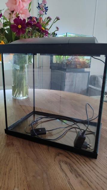Aquarium superfish 25 litres  beschikbaar voor biedingen