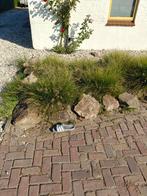Sier kei zwerfkei 14 stuks, Tuin en Terras, Grind, Keien en Split, Ophalen of Verzenden, Zo goed als nieuw, Overige materialen