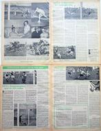Artikelen en fotos Nederlands voetbalclubs 1949 voetbal foot, Verzamelen, Verzenden, Gebruikt, Overige binnenlandse clubs