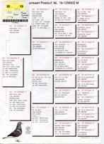 Jan aarden duiven te koop 2 stuks (Top kwekers), Dieren en Toebehoren, Vogels | Duiven, Meerdere dieren, Postduif
