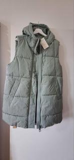 Bodywarmer nieuw!, Kleding | Dames, Maat 38/40 (M), Ophalen of Verzenden, Zo goed als nieuw, RESERVED