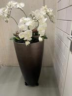Twee kunstplanten witte orchideeën met vaas en wieltjes, Huis en Inrichting, Ophalen, Zo goed als nieuw, Binnen