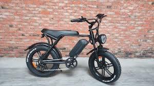 FATBIKE REPERATIE BANDEN REMMEN APELDOORN, Fietsen en Brommers, Elektrische fietsen, Zo goed als nieuw, Overige merken, 59 cm of meer