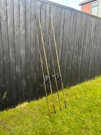 Set 12ft 2,75lb karper hengels+molen, Watersport en Boten, Hengelsport | Karpervissen, Ophalen of Verzenden, Gebruikt, Complete set
