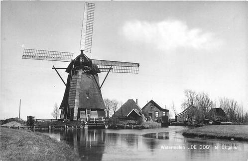 (304-233-039) Uitgeest Watermolen De Dog, Verzamelen, Ansichtkaarten | Nederland, Noord-Holland, Verzenden