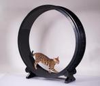 Het kattenloopwiel van One Fast Cat, Dieren en Toebehoren, Ophalen, Nieuw, Overig speelgoed