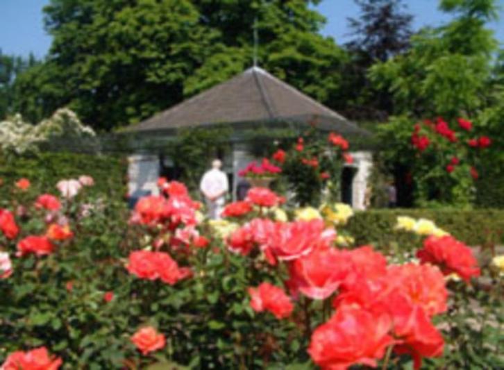 20% per persoon korting entree Kasteeltuinen Arcen, Tickets en Kaartjes, Recreatie | Overige, Drie personen of meer, Kortingskaart