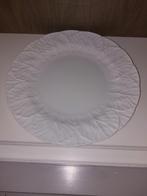 Wedgwood Oceanside Bord, Ophalen, Zo goed als nieuw, Bord(en), Wedgwood