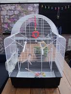 Nette Vogelkooi, Ophalen, Gebruikt, Metaal, Vogelkooi