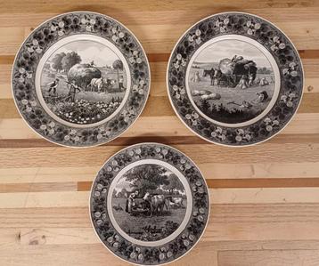 Villeroy & Boch borden - Audun Ferme - 3 wandborden beschikbaar voor biedingen