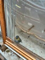 Cubavink pop, Dieren en Toebehoren, Vogels | Overige Vogels, Vrouwelijk