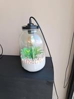 ZGAN Terrarium planten lamp, Huis en Inrichting, Ophalen of Verzenden, Zo goed als nieuw, Minder dan 100 cm, Glas