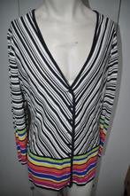 GHi71 Attitude vest maat 46 blauw wit verschillende kleuren, Kleding | Dames, Grote Maten, Overige kleuren, Trui of Vest, Ophalen of Verzenden