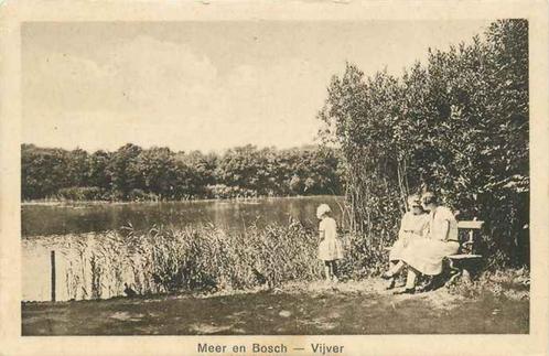 (301-120-039) Nederland Meer en Bosch, Verzamelen, Ansichtkaarten | Nederland, Verzenden