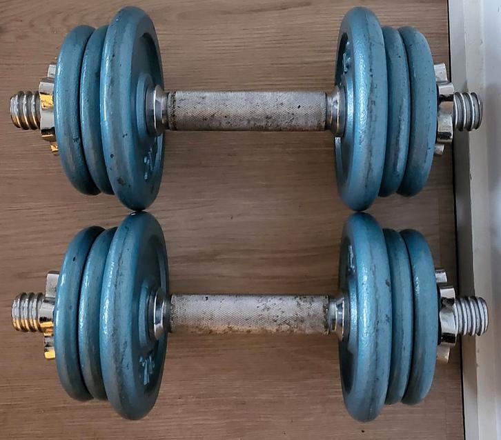 Set Dumbbells / Halters - Verstelbaar, Sport en Fitness, Fitnessmaterialen, Gebruikt, Dumbbell, Armen, Borst, Rug, Ophalen