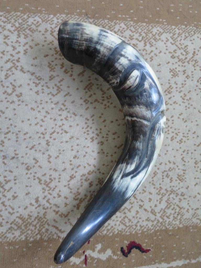 mooie grote echte hoorn 38 cm, Ophalen of Verzenden