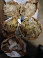 Schapenwol, Hobby en Vrije tijd, Breien en Haken, Ophalen of Verzenden