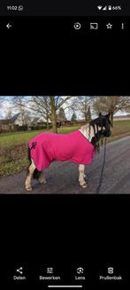 Roze fleece deken who 185, Dieren en Toebehoren, Ophalen of Verzenden, Zo goed als nieuw
