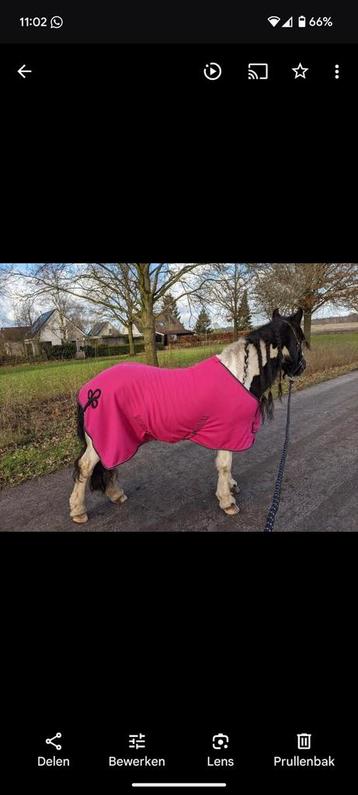Roze fleece deken who 185 beschikbaar voor biedingen