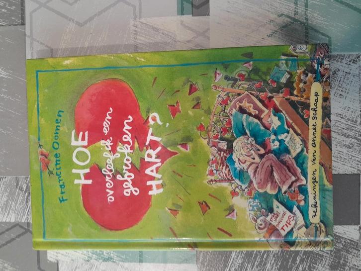Hoe overleef ik boek NR 6, Boeken, Kinderboeken | Jeugd | 13 jaar en ouder, Zo goed als nieuw, Ophalen of Verzenden