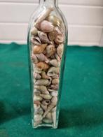 flesjes met mini schelpen 2 stuks, Ophalen of Verzenden