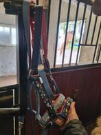 Halsters smalle cob/ pony, Ophalen, Zo goed als nieuw, Overige soorten
